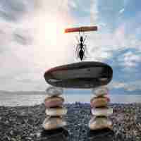 专‌业‍数﻿据‍挖‍掘‌方﻿案﻿设‍计​